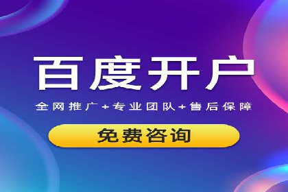 SEM专员案例：数据分析与优化